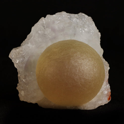 Fluorite (rare botryoidal) on Quartz  Natural Mineral Specimen  # B 5031