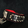 The Kennel collar- personalized!