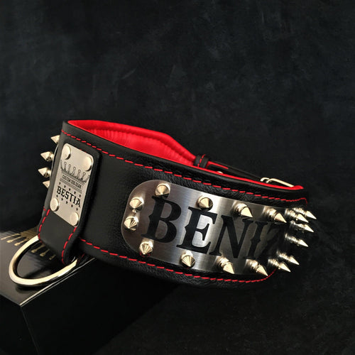 The Kennel collar- personalized!