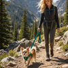 EcoBark Step In Dog Harness - XXXS to Small Breeds- Reflective Soft Mesh Harness for Teacup, Small Dogs and Puppies / Forest Green