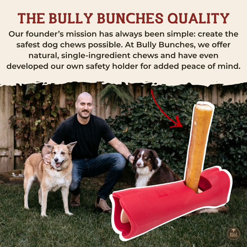 Small Bully Stick Ring