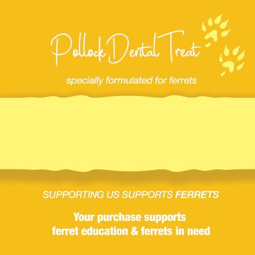 Freeze-Dried Raw Pollock Treat for Ferrets