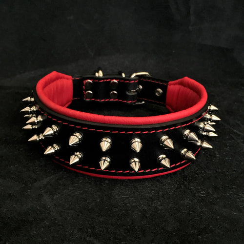 Frenchie collar For your French Bulldog Fur Baby