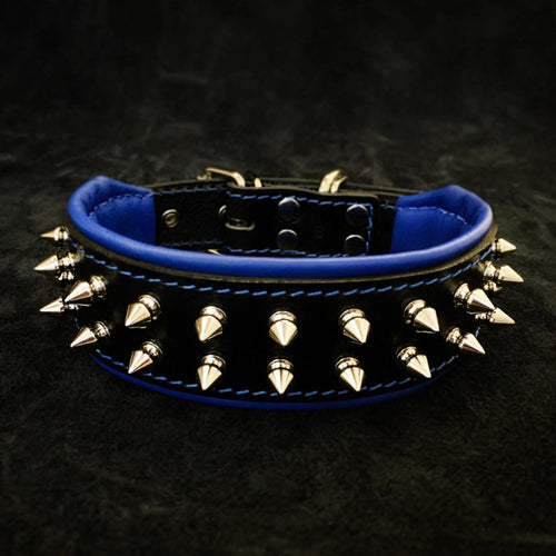 Frenchie collar For your French Bulldog Fur Baby