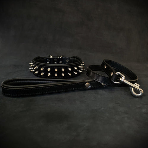 Frenchie Set- collar & leash. Black