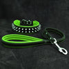 Frenchie Set- collar & leash. Green