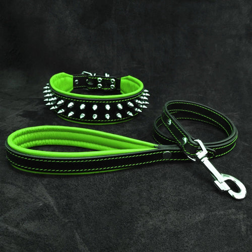 Frenchie Set- collar & leash. Green