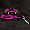 Frenchie Set- collar & leash. Pink