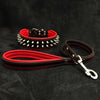 Frenchie Set- collar & leash. Red
