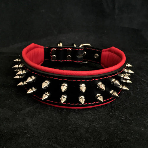 Frenchie collar