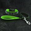 Frenchie Set- collar & leash. Green