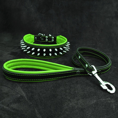 Frenchie Set- collar & leash. Green