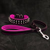 Frenchie Set- collar & leash. Pink