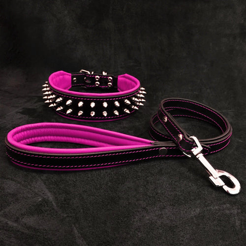 Frenchie Set- collar & leash. Pink