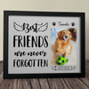 Best Friends Are Never Forgotten Dog Picture Frame