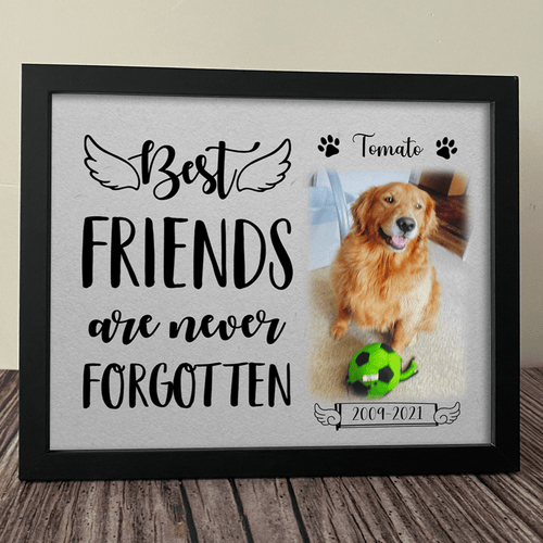 Best Friends Are Never Forgotten Dog Picture Frame