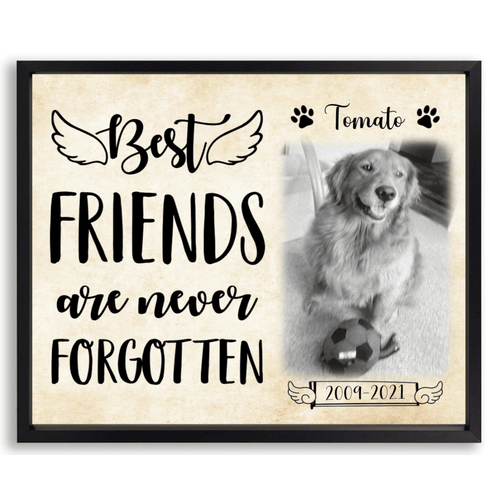 Best Friends Are Never Forgotten Dog Picture Frame