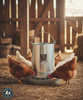 Little Giant 30 lb Hanging Feeder Tube & Pan Galvanized Steel Poultry Feeder
