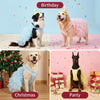 Big Dog dress Cute Layers with pearls necklace(3color)