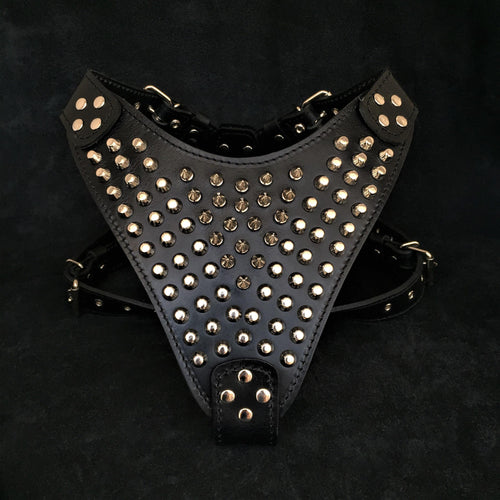 The Gladiator harness