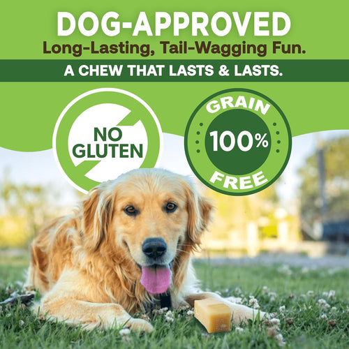 Gold Yak Chews for Medium Dogs (3 Medium Sized Chews)