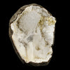 Goosecreekite with Stilbite Natural Mineral Specimen # B 6560