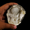 Goosecreekite with Stilbite Natural Mineral Specimen # B 6560