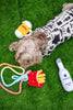 Beer Glass Plush Dog Toy - Glow Pups