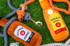 Squeaky Bourbon Whiskey Plush Dog Toy - Glow Pups