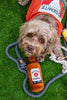 Squeaky Bourbon Whiskey Plush Dog Toy - Glow Pups