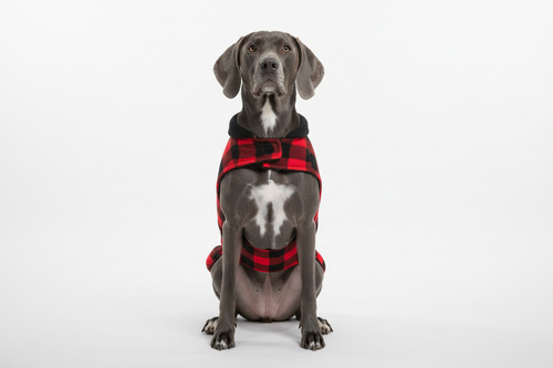 Custom Fleece Dog Vest