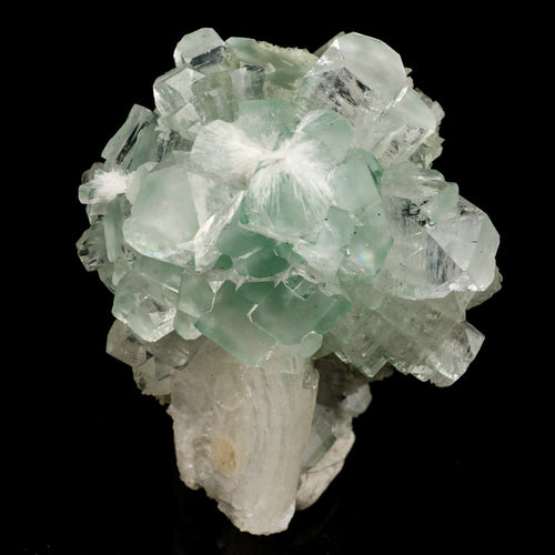 Green Apophyllite Disco Ball with Stilbite Natural Mineral Specimen # B 6535