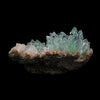 Green Apophyllite sharp terminated Natural Mineral Specimen USA # B 6932