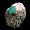 Green Apophyllite with Calcite Free standing Natural Mineral Specimen #TC24-15
