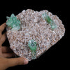 Green Floral Apophyllite sharp terminated Natural Mineral Specimen USA # B 6925