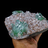 Green Floral Apophyllite sharp terminated Natural Mineral Specimen USA # B 6925