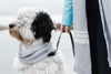 Cashmere Blend Scarf sets for Pets and their humans, Heather Grey