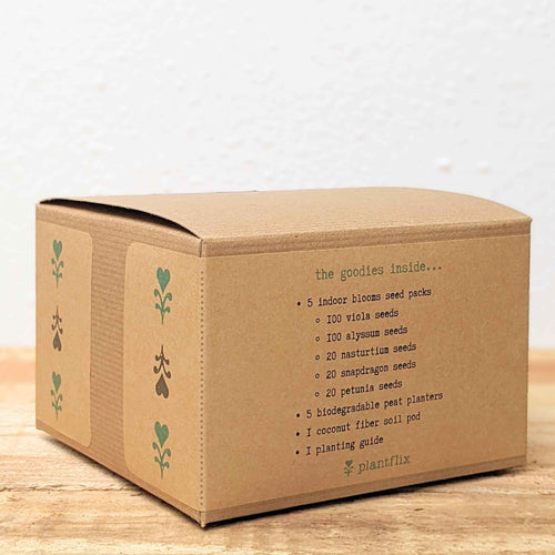 Grow a Flower Garden Indoor Blooms Seed Kit