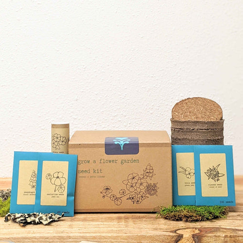 Grow a Flower Garden Indoor Blooms Seed Kit