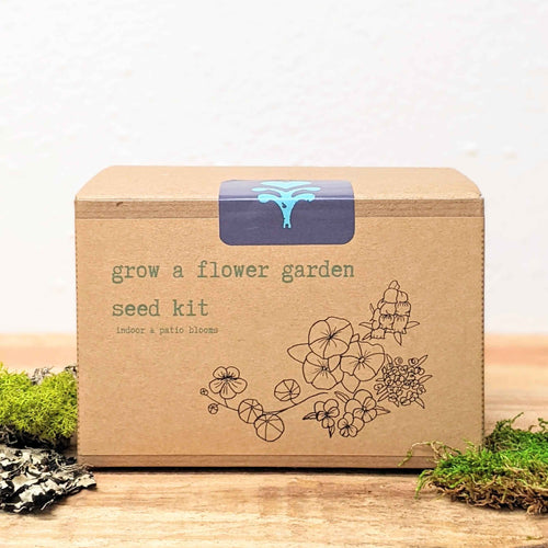 Grow a Flower Garden Indoor Blooms Seed Kit
