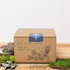 Grow an Herb Garden Cooking Herbs Seed Kit
