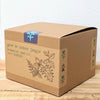 Grow an Indoor Jungle Houseplant Seed Kit