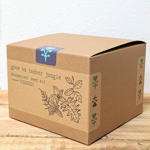 Grow an Indoor Jungle Houseplant Seed Kit