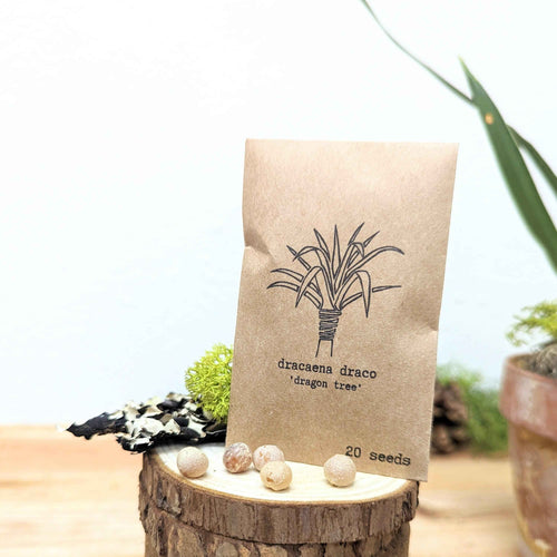 Grow your own Jungle Houseplant Seed Collection