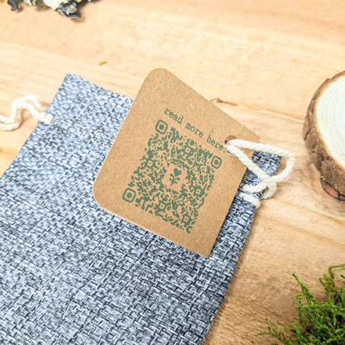 Grow your own Jungle Houseplant Seed Collection