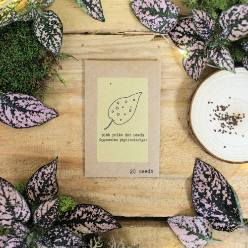 Grow your own Jungle Houseplant Seed Collection