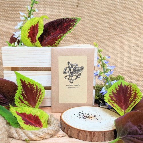 Grow your own Jungle Houseplant Seed Collection