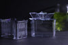 Guppy Breeder Box (Medium)