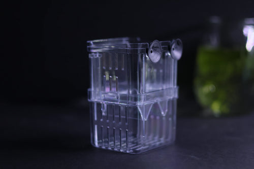 Guppy Breeder Box (Small)