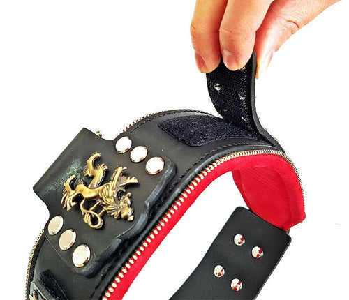 The unique General leather dog collar for big dogs